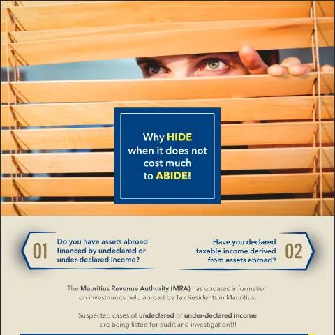 Document preview: Understanding the Voluntary Disclosure of Income Scheme for Foreign — Taxes (CERFA n°PressAdvertVD-FA)