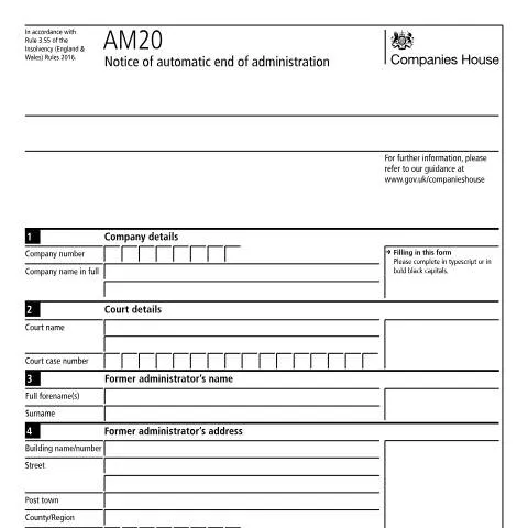 Document preview: Understanding the AM20 Notice of Automatic End of Administration — Business