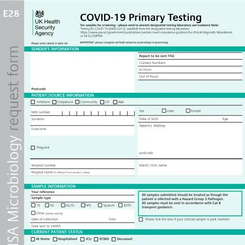 Document preview: Navigating the E28 Laboratory Testing Request Form for COVID-19 — Health