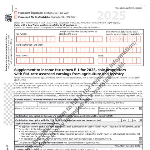 Dokumentvorschau: Wichtige Informationen zum Formular E1c-EN für 2025 — Steuern (E1c-EN)