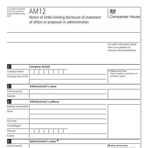 Document preview: Understanding the AM12: A Key Document in Company Administration — Legal & justice