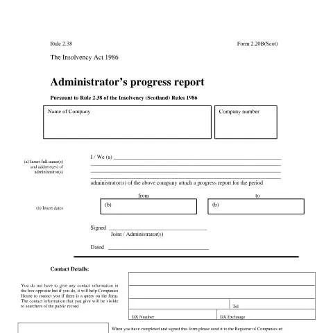 Document preview: Understanding Form 2.20B: The Administrator’s Role in Insolvency — Government & admin
