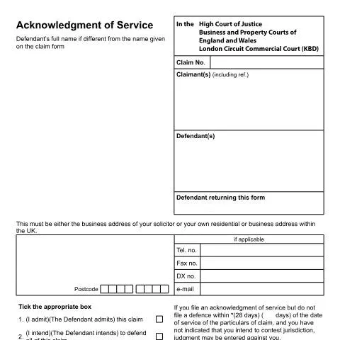 Document preview: The Importance of Form N9(LCC) in Commercial Litigation — Legal & justice