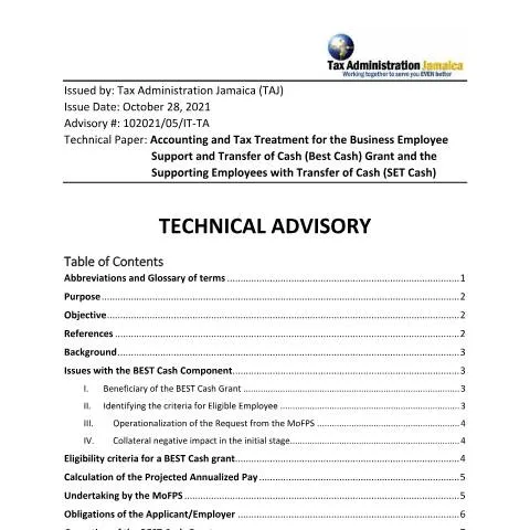 Document preview: Technical Advisory on Accounting for BEST and SET Cash Grants in — Government & admin (CERFA n°Final_Technical_Advisory_BEST_CASH_V_1_Approved_Nov_5_2021)
