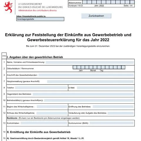 Aperçu du document Comprendre la déclaration 110 D pour les entrepreneurs luxembourgeois — Impôts & fiscalité (CERFA n°110 D)