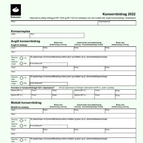 Document preview: Forståelse av RF-1206 for konsernbidrag — Skatt & avgifter (CERFA n°RF-1206)