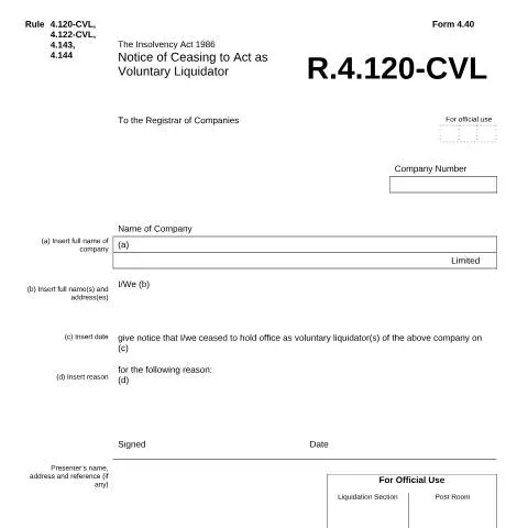 Document preview: Guide to Filing Notice of Ceasing as Voluntary Liquidator in the UK — Government & admin