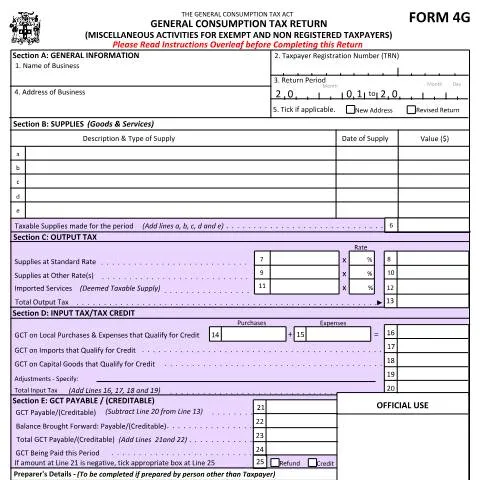 Document preview: Understanding the Jamaica GCT Return Form (4g_eff_Jan2015) — Government & admin (CERFA n°4g_eff_Jan2015)