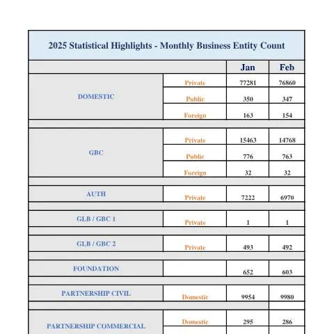Document preview: A Comprehensive Guide to January-February 2025 Monthly Statistics — Government & admin (new-monthly-statistics_jan_feb_2025)