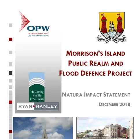Document preview: Critical Flood Defence Works Planning by Cork City Council — Housing