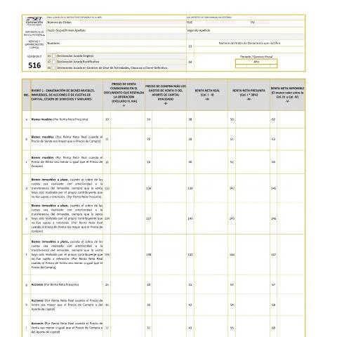 Vista previa del documento Guía para el formulario N° 516 versión 2 en Paraguay — Impuestos (CERFA n°F516)