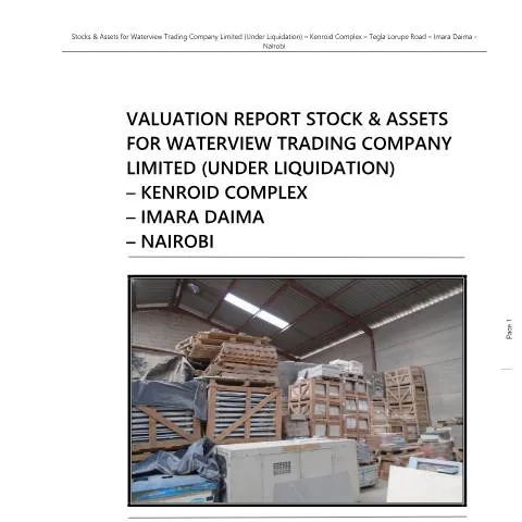 Document preview: Understanding the Waterview Valuation Report for Liquidation — Government & admin (CERFA n°WATERVIEW-VALUATION-REPORT)