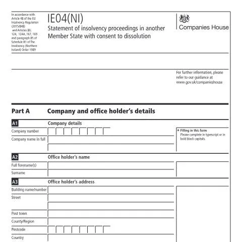 Document preview: Understanding the IE04(NI) Form for Insolvency in Northern Ireland — Business
