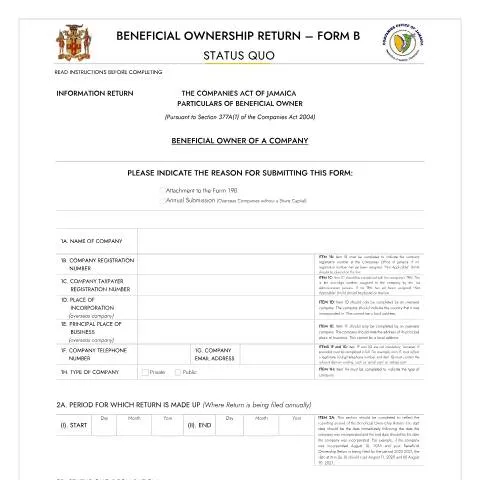 Document preview: Understanding the BOR - FORM B STATUS QUO for Companies — Government & admin (CERFA n°BOR_FORM_B_STATUS_QUO)