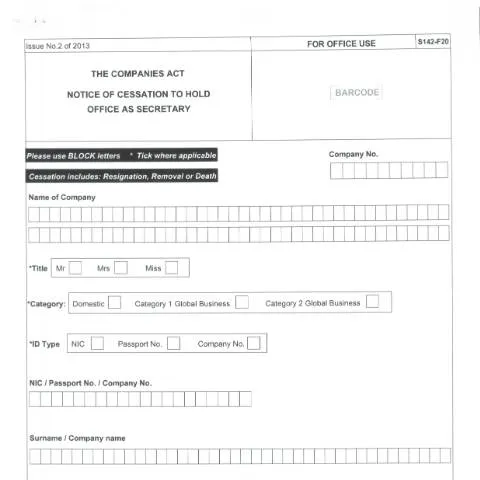 Document preview: Understanding the F20 Form: A Key to Company Compliance — Government & admin (CERFA n°F20-1)