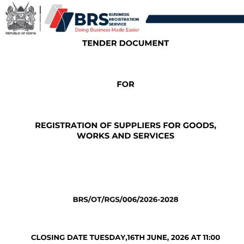 Document preview: Understanding the BRS Suppliers Registration Tender Document — Government & admin (CERFA n°BRS-SUPPLIERS-REGISTRATION-TENDER-DOCUMENT-1)