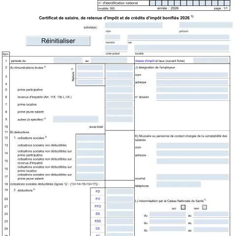 Aperçu du document Le modèle 160 : essentiel pour les employeurs au Luxembourg — Impôts & fiscalité (CERFA n°160 F)