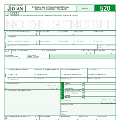 Vista previa del documento Declaración F520-2008: Regularización de Importadores y Exportadores — Trámites administrativos (CERFA n°F520-2008)
