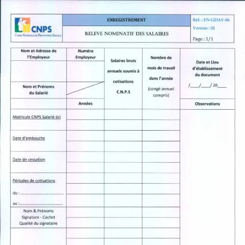 Aperçu du document L'Importance du Relevé Nominatif des Salaires en Côte d'Ivoire — Démarches administratives