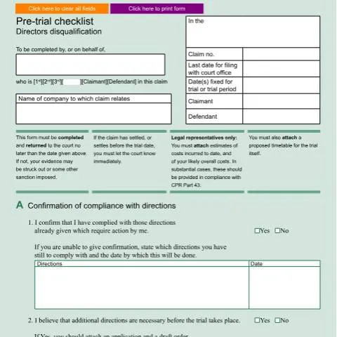 Document preview: Navigating Form N504: A Guide for Directors Disqualification — Legal & justice