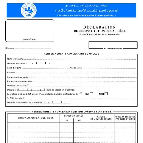 Aperçu du document Comprendre la déclaration AS ATMP 18 pour les victimes d'accidents — Emploi & travail (CERFA n°AS ATMP 18)