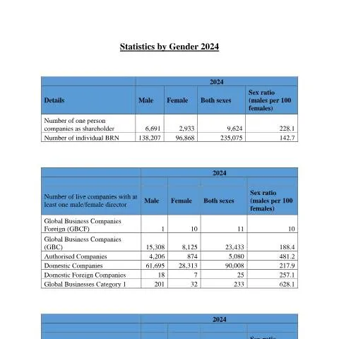 Document preview: Understanding the Impact of Gender Statistics 2024 — Government & admin (Statistics-by-Gender-2024)