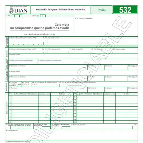 Vista previa del documento Importancia de la Declaración de Ingreso - Salida Dinero en Efectivo — Trámites administrativos (CERFA n°F532-2017)