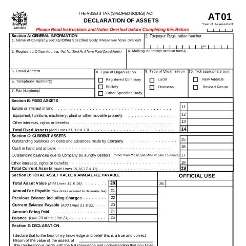 Document preview: Understanding the Declaration of Assets Form AT01 in Jamaica — Government & admin (CERFA n°declaration_of_assets-2)