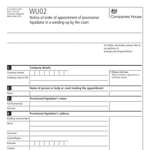 Document preview: Navigating the WU02 Document: Provisional Liquidator Insights — Government & admin (WU02)