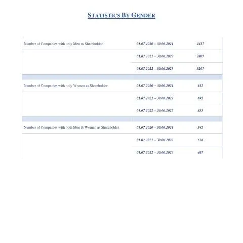 Document preview: Understanding Gender Dynamics in Company Ownership — Government & admin (Number-of-Companies-with-Shareholder-By-Gender)
