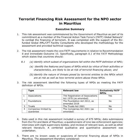 Document preview: Understanding the NPO Risk Assessment Executive Summary — Government & admin (Executive-Summary_NPO-Risk-Assessment)