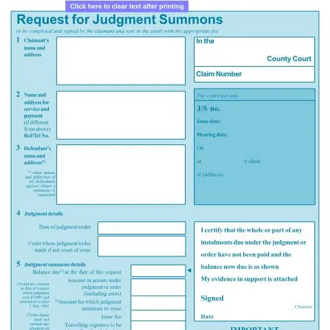 Document preview: Understanding Form N342 for Debt Recovery — Legal & justice