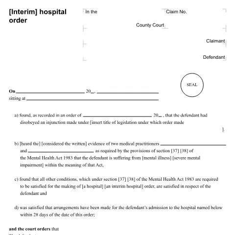 Document preview: Navigating Hospital Orders: Insights on Form N143 — Legal & justice
