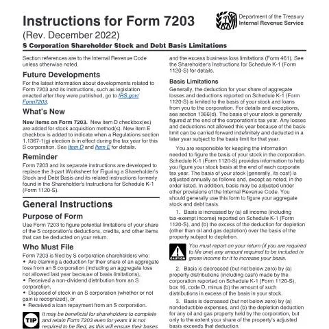 Document preview: Essential Guide to IRS Form 7203 for S Corporation Shareholders — Taxes (CERFA n°INST-7203)