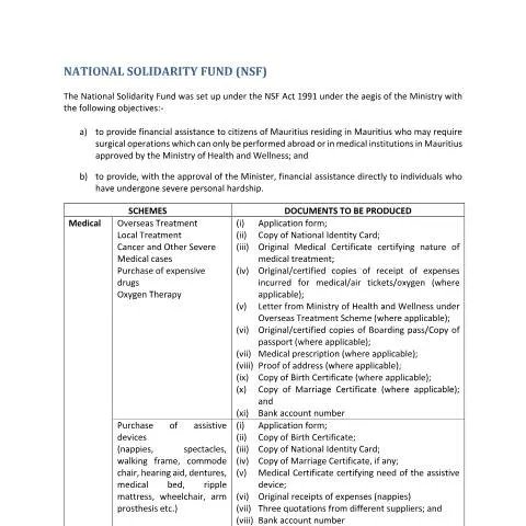 Document preview: Navigating the NSF Application Process for Medical Aid — Benefits & social aid (CERFA n°services-provided-by-NSF)
