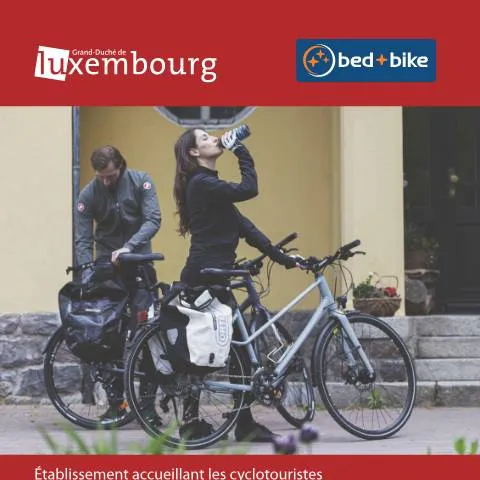 Aperçu du document Inscription au label 'bed+bike' pour les hébergements — Démarches administratives (CERFA n°ProVelo_Formulaire_Hotel)