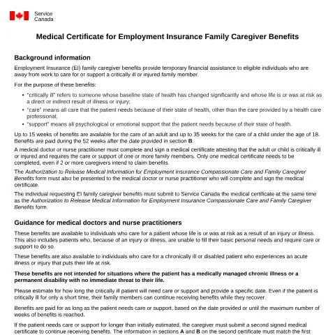 Document preview: Essential Guide to Medical Certificate for Family Caregivers — Health (CERFA n°INS5242B)
