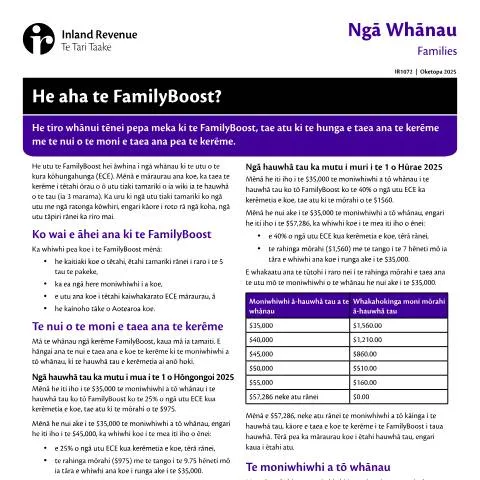 Document preview: Mastering the IR1073 Form for Financial Support — Family (CERFA n°IR1073)