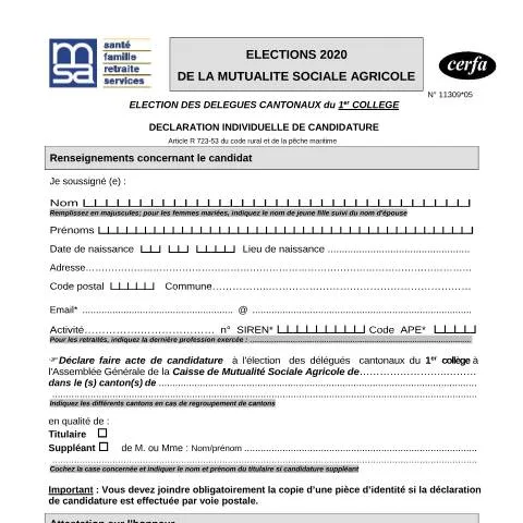 Aperçu du document Comment déclarer sa candidature de délégué cantonal MSA ? — Démarches administratives (CERFA n°11309*05)