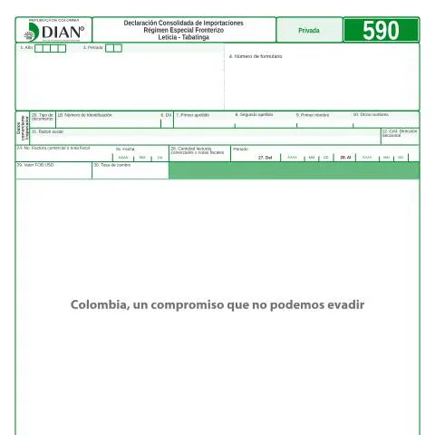 Vista previa del documento Importaciones en el Régimen Especial Fronterizo Leticia - Tabatinga — Aduanas y comercio (CERFA n°F590-2015)