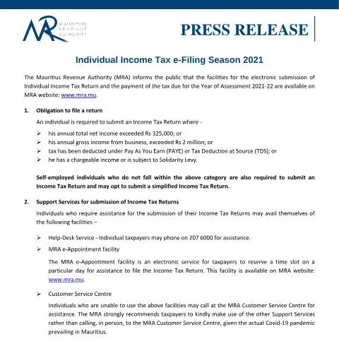 Document preview: Essential Guide to Individual Income Tax e-Filing 2021 — Taxes (CERFA n°PRFilingSeason2021)