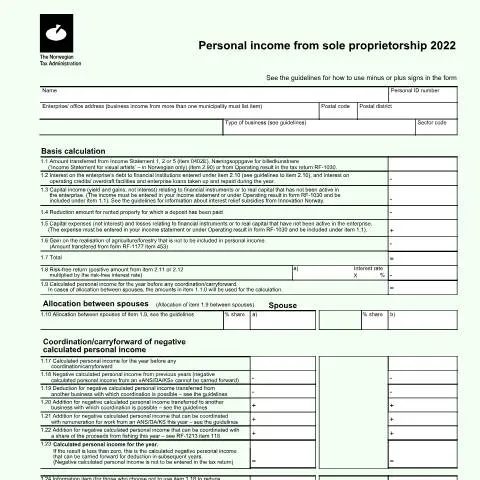 Document preview: Forståelse av RF-1224 for enkeltpersonforetak — Skatt & avgifter (CERFA n°RF-1224)