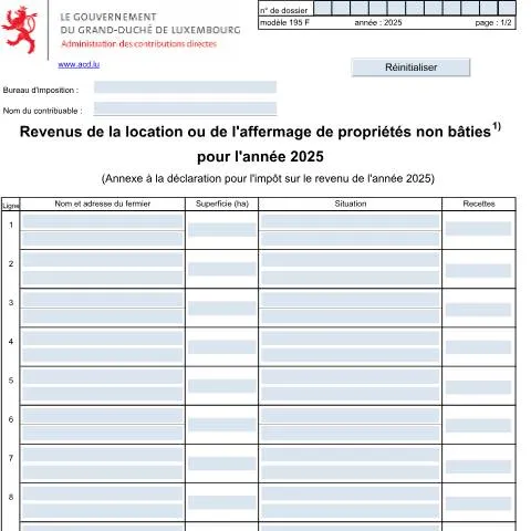 Aperçu du document Comprendre la déclaration des revenus de location au Luxembourg — Impôts & fiscalité (CERFA n°195 F)