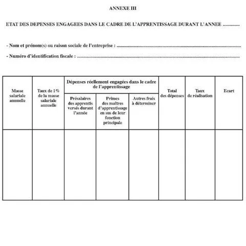 Aperçu du document L'impact des taxes de formation professionnelle sur l'économie — Impôts & fiscalité (CERFA n°Taxe de formation professionnelle continue et taxe dapprentissage annexe3)