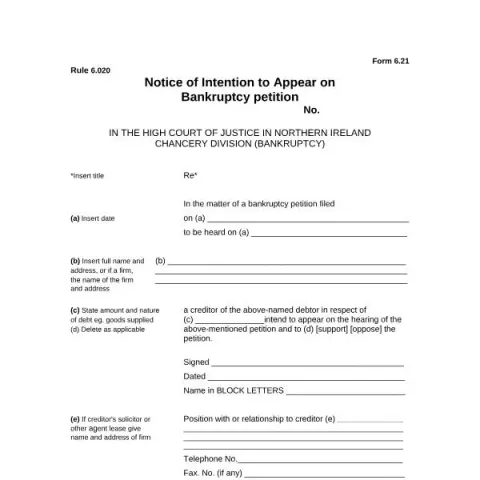 Document preview: Understanding Form 6.21: Bankruptcy Notice in Northern Ireland — Legal & justice (Form 6-21)