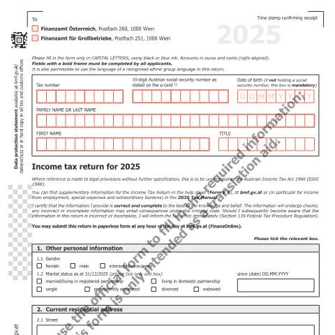 Dokumentvorschau: Einkommensteuererklärung E1-EN 2025: Wichtige Informationen — Steuern (E1-EN)