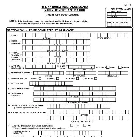 Document preview: Understanding the NI19 Form for Workplace Injuries — Government & admin (CERFA n°NI19)