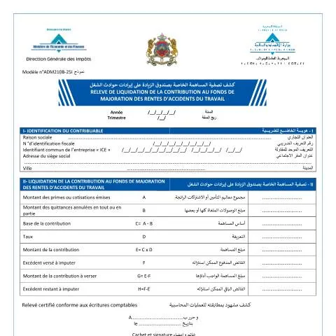 Aperçu du document Formulaire de liquidation de la contribution au fonds de majoration — Impôts & fiscalité (CERFA n°ADM210B-25I)