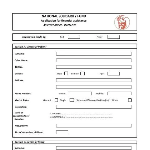 Document preview: Navigating the Spectacles Application in Mauritius — Health (CERFA n°Spectacles)