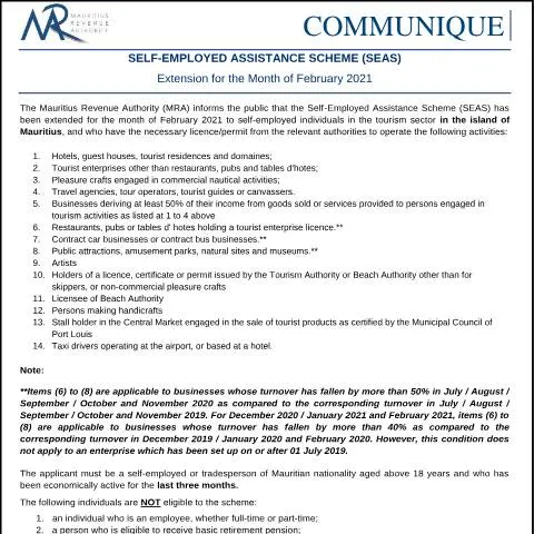 Document preview: Understanding the Self-Employed Assistance Scheme (SEAS) — Taxes (CERFA n°SEASFebruary2021)